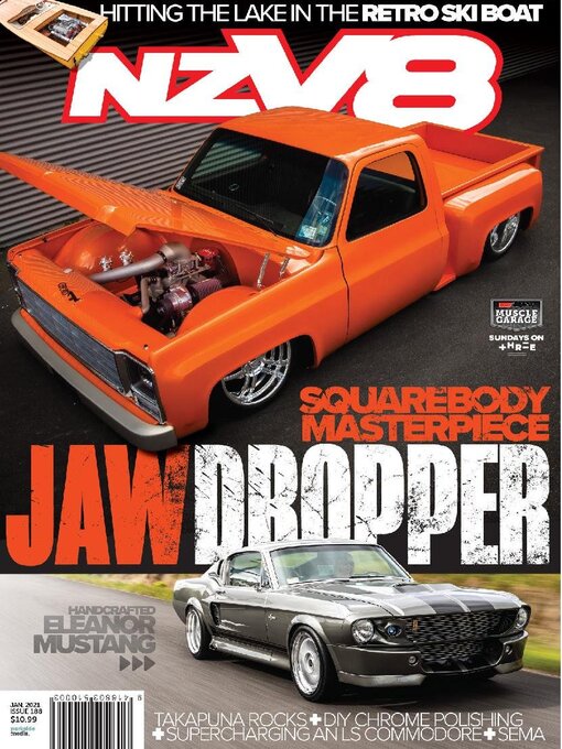 Cover image for NZV8